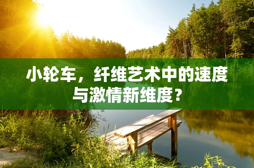 小轮车，纤维艺术中的速度与激情新维度？