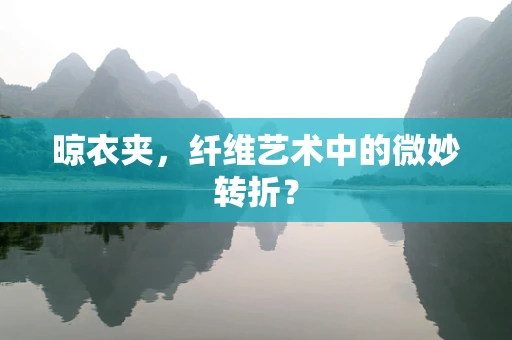 晾衣夹，纤维艺术中的微妙转折？